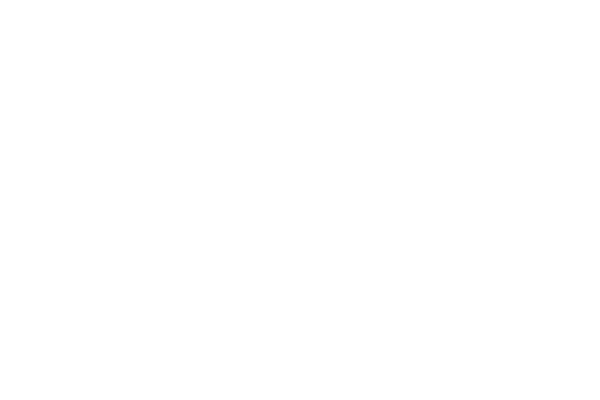 Rise Funding